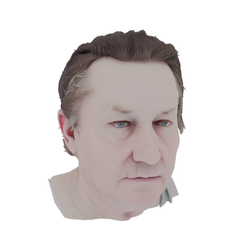 Elderly Man Bust