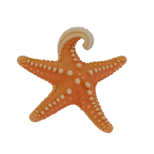 3D model of a vibrant orange starfish with raised pearl-like bumps and a curled arm, isolated on a white background.