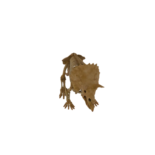 Triceratops Skeleton 3D Model
