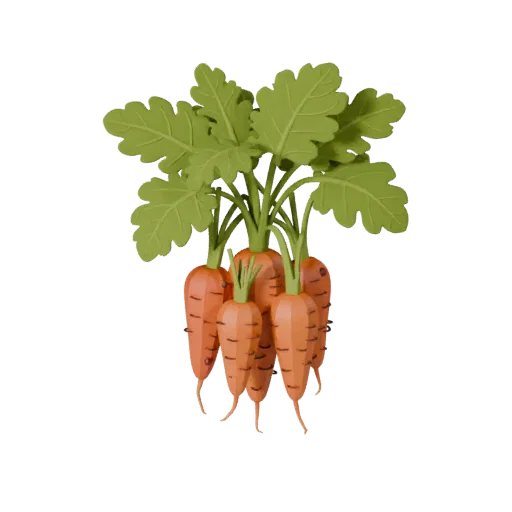 Organic Carrot Bunch Stylized 3D model, stylized isometric render, showing leaf veins, clear vegetable silhouettes.