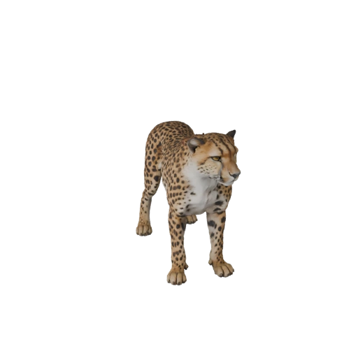 Modello 3D Ghepardo Realistico - Asset PBR Rigged per Giochi | PBR
