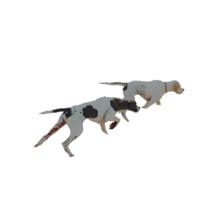 3D model of two hunting dogs, one pointer with dark spots and one lighter dog, running dynamically.