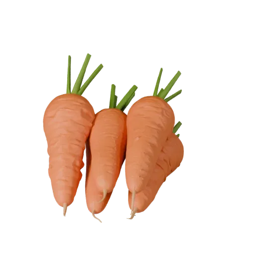 Chopped Carrot Bunch 3D model, three-quarter front view, Unity viewport, showing leaf veins, form detail.