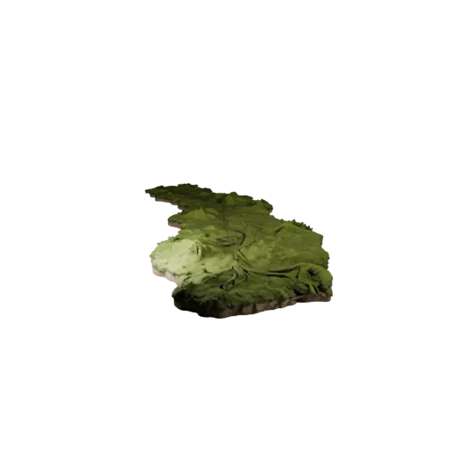Mossy Root Path Stylized 3D model, stylized isometric environment render, showing layered soil, raised bases.