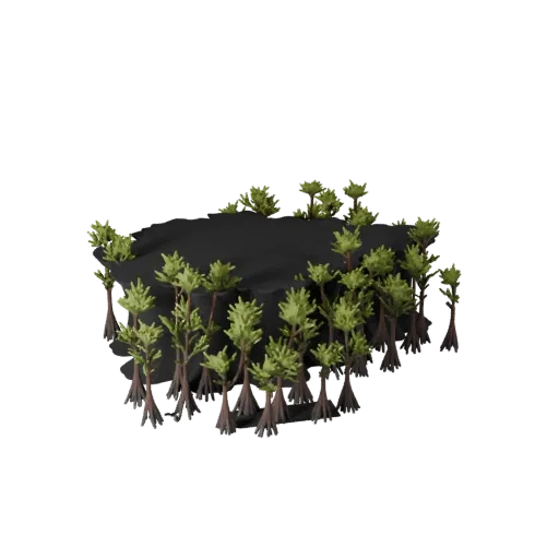 Coastal Mangrove Biome Realistic 3D model, three-quarter environment render, showing terrain layers, terrain detail.
