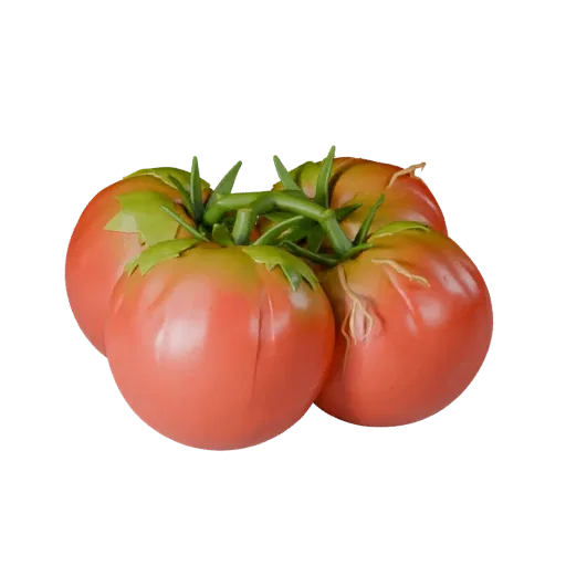 Market Tomato Cluster 3D model, three-quarter front view, Unity viewport, showing leaf veins, form detail.