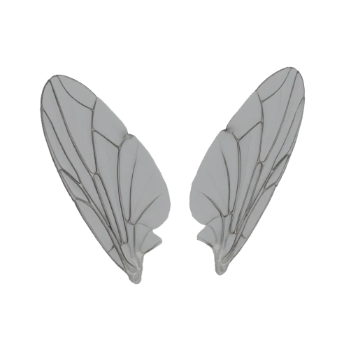 Insect Wings 3D Model