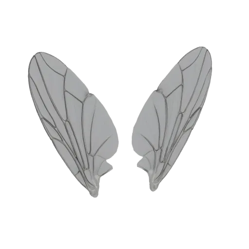 A pair of translucent, greyish insect wings with intricate vein patterns, presented as a 3D model.