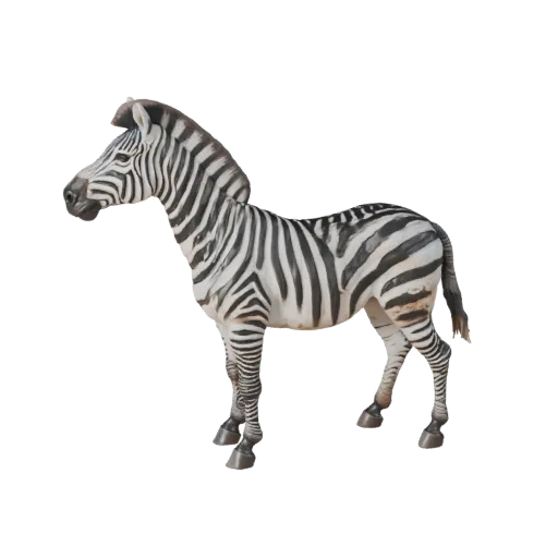 Modello 3D Zebra, vista laterale telecamera gameplay, asset animale pronto per Unity con arco del collo, bordi zoccoli, fluss