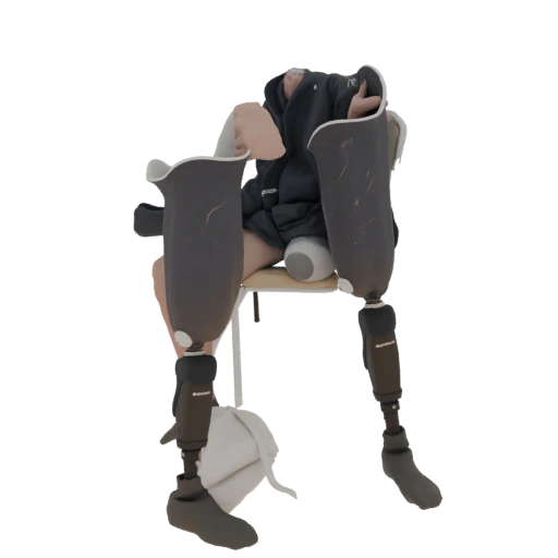 Prosthetic Legs 3D Model