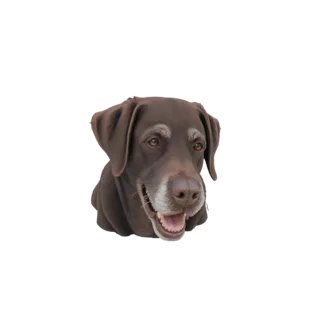Modelo 3D de um Labrador Chocolate idoso com pelos grisalhos ao redor do focinho, olhando para frente com uma expressão genti