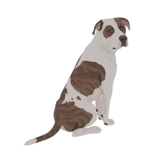 American Pit Bull Terrier 3D Model