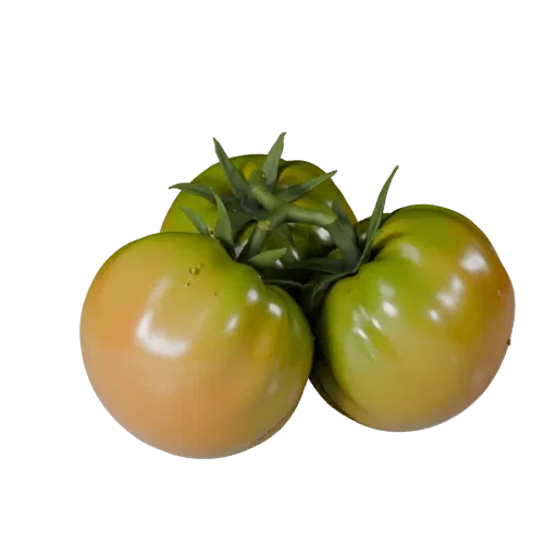 Garden Tomato Cluster 3D model, three-quarter front view, Unity viewport, showing leaf veins, form detail.