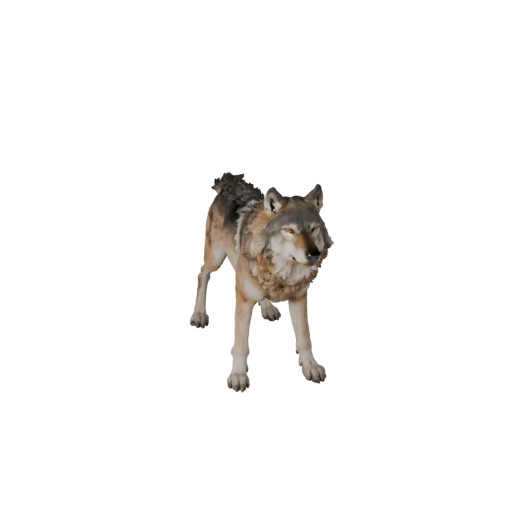 Modello 3D Lupo per Unity - Asset Pronto per il Gioco, FBX | Royalty-Free