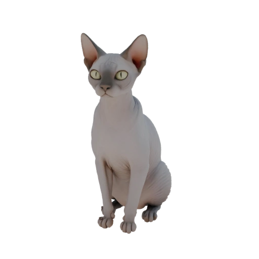 3D model Sphynx cat