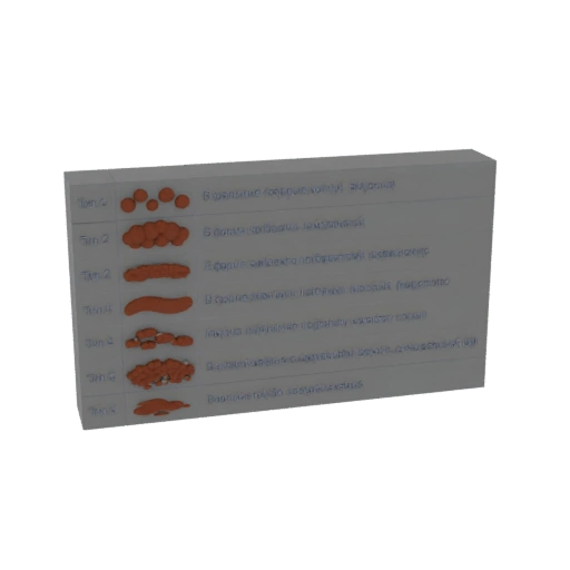 Bristol Stool Chart 3D Model