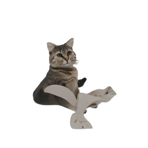 Modelo 3D de um gato malhado sentado com um tecido branco drapeado ao redor, olhando para o espectador.