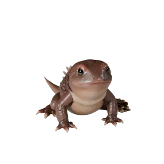 Realistic Axolotl 3D Model - Rigged PBR Asset for Games | PBR