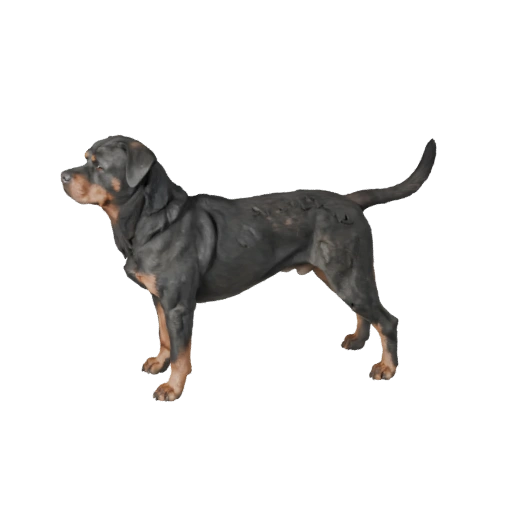 Perro Rottweiler Modelo 3D para Unity - Asset Listo para Juego, FBX | PBR