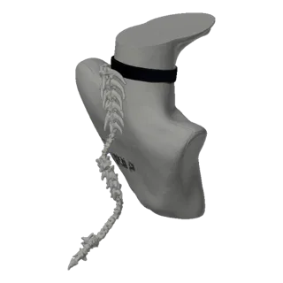 3D model render of a gothic choker with a detailed spinal column design, presented against a black background.