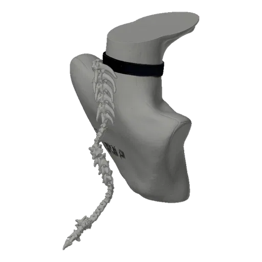 3D model render of a gothic choker with a detailed spinal column design, presented against a black background.