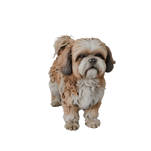 Modello 3D Realistico di Cane Shih Tzu - Asset Rigged PBR per Giochi