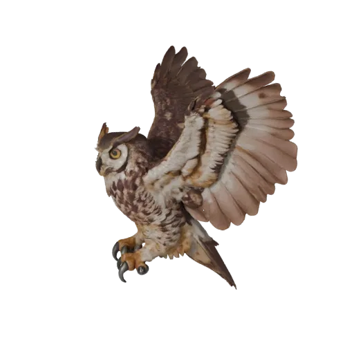 Great Horned Owl 3D-Modell, Seitenansicht Wildlife-Rendering, für Blender vorbereitetes Tier-Asset mit Federrichtung, Flügelk