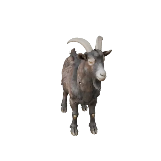 Goat 3D Model for Unity - Game Ready Asset, FBX | Royalty-Free
