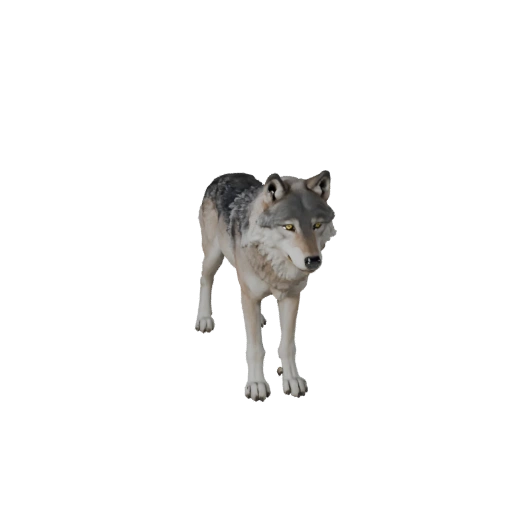 Modello 3D Lupo Artico Realistico - Asset PBR Rigged per Giochi