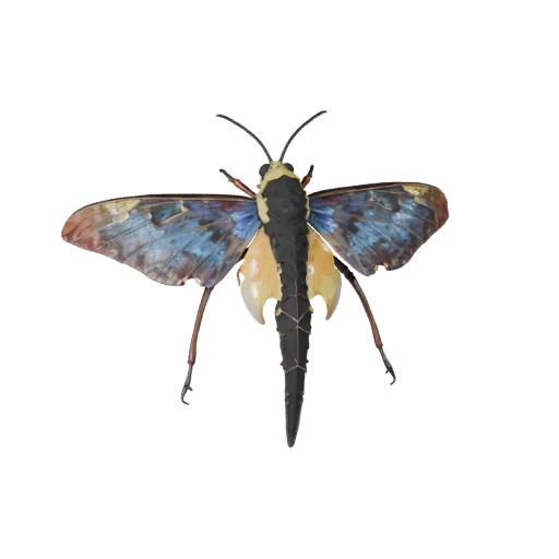 Modelo 3D de Polilla Luna para Unidad - Activo Listo para Juego, FBX | Libre de Regalías