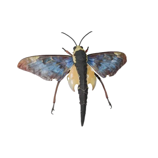 Modelo 3D Polilla Luna, vista lateral de cámara de gameplay, asset de animal listo para Unity con separación de tórax, ritmo