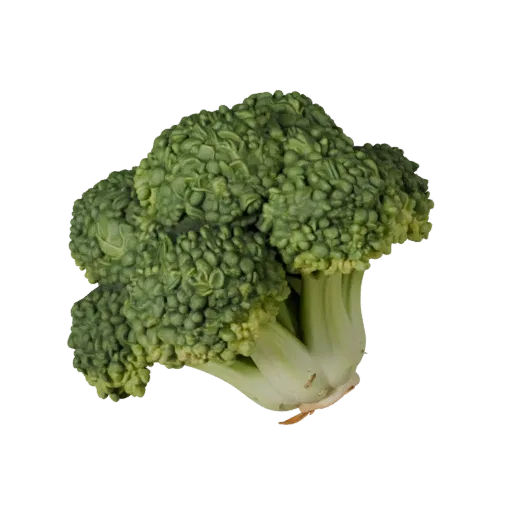 Market Broccoli Head 3D model, three-quarter front view, AR viewer studio render, showing leaf veins, form detail.
