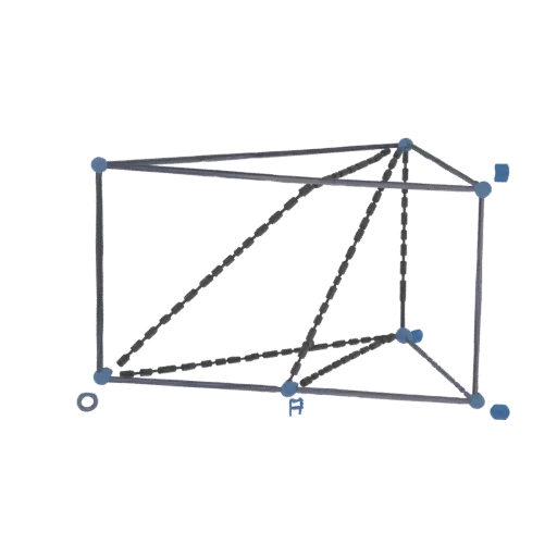 3D model of a geometric prism with visible internal dashed lines representing structural supports.