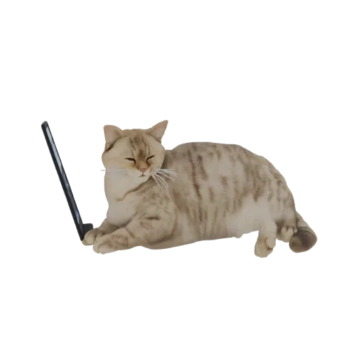 3D model of a cute, light-colored tabby cat lying down with its paws near an open laptop, eyes closed.
