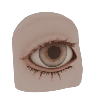 Modèle 3D d'un œil humain réaliste avec des cils denses et volumétriques et des iris marron.
