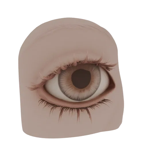 3D model of a realistic human eye with dense, volumetric eyelashes and brown irises.