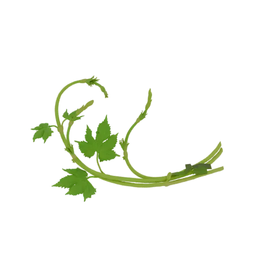 3D model of a green hop vine with detailed leaves and curling tendrils against a white background.