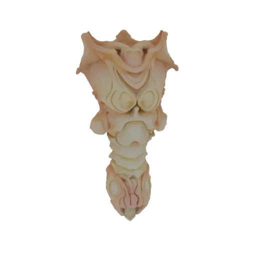 A detailed 3D model of the human larynx, showcasing its cartilaginous structures and internal anatomy, presented against a bl