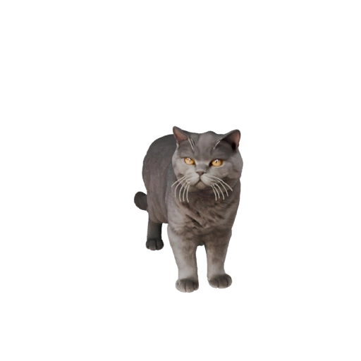 Реалистичная 3D модель британской короткошерстной - rigged PBR ассет для игр