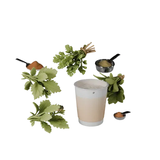 Fresh Herb Bundle Realistic 3D model, three-quarter studio render, showing powders, small ingredient shapes.