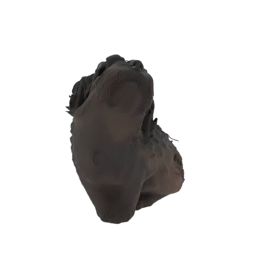 A 3D render of an abstract organic sculpture with dark, flowing, and undulating forms against a white background.