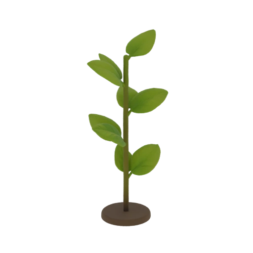 Young Plant