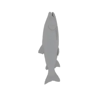 Um modelo 3D de uma truta cinza, representada em uma cor cinza neutra, com barbatanas e cauda claramente definidas.