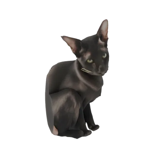 3D model of a sleek black Oriental Shorthair cat sitting and looking to the side, with large ears and green eyes.
