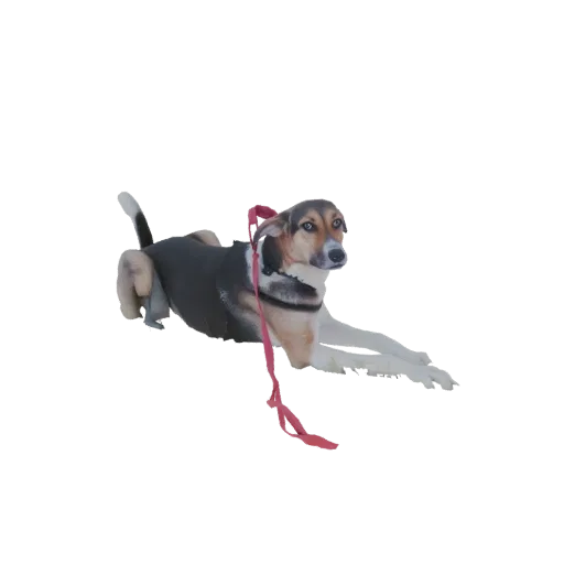 3D model of a dog in a dynamic leaping pose with a red leash trailing behind it, against a white background.