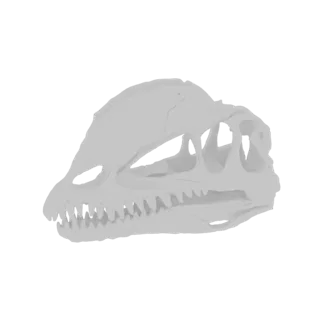 Ein detailliertes 3D-Modell eines Dinosaurierschädels, von der Seite betrachtet, mit scharfen Zähnen und leeren Augenhöhlen.