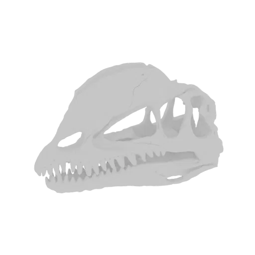 A detailed 3D model of a dinosaur skull, viewed from the side, with sharp teeth and empty eye sockets.