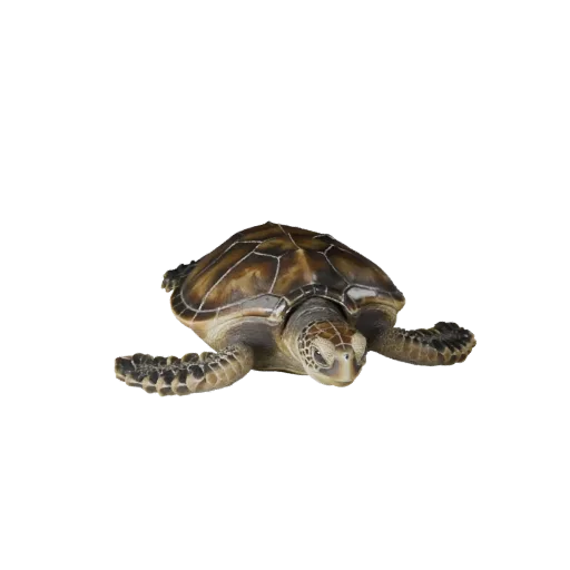 High Poly Sea Turtle 3D Model - Detailed STL Asset for Printing