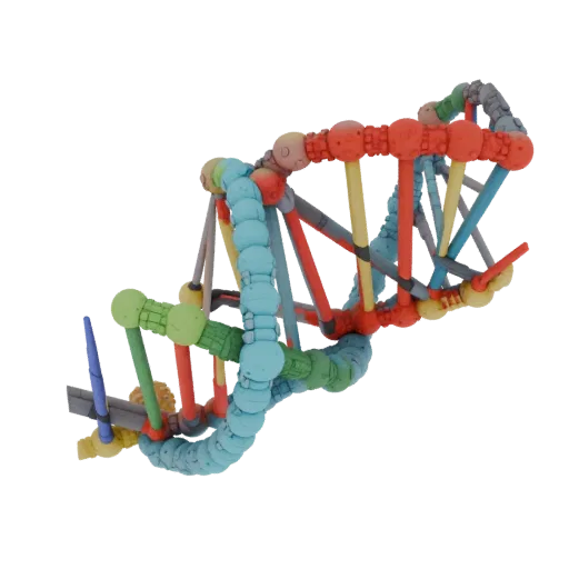 Organic DNA Helix High Poly 3D model, close-up studio render, showing colored spheres, molecule layout.