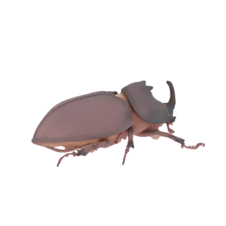 Side view of a 3D model of a rhinoceros beetle with prominent horns, against a black background.